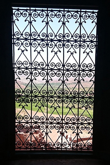 window grille